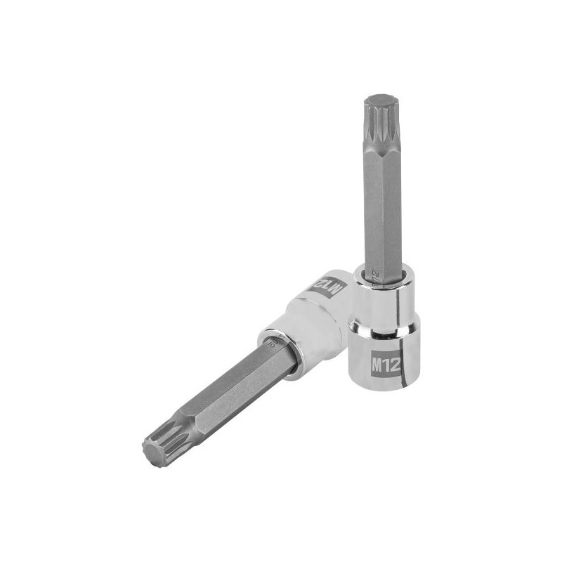 Dados Punta Bristol M12 E1/2 Plarga CrVanadio Truper 101302 11.186441 Dados Punta Bristol M12 E1/2 Plarga CrVanadio Truper 1013 Dados Punta Bristol M12 E1/2 Plarga CrVanadio Truper 101302 11.186441 Dados Punta Bristol M12 E1/2 Plarga CrVanadio Truper 1013