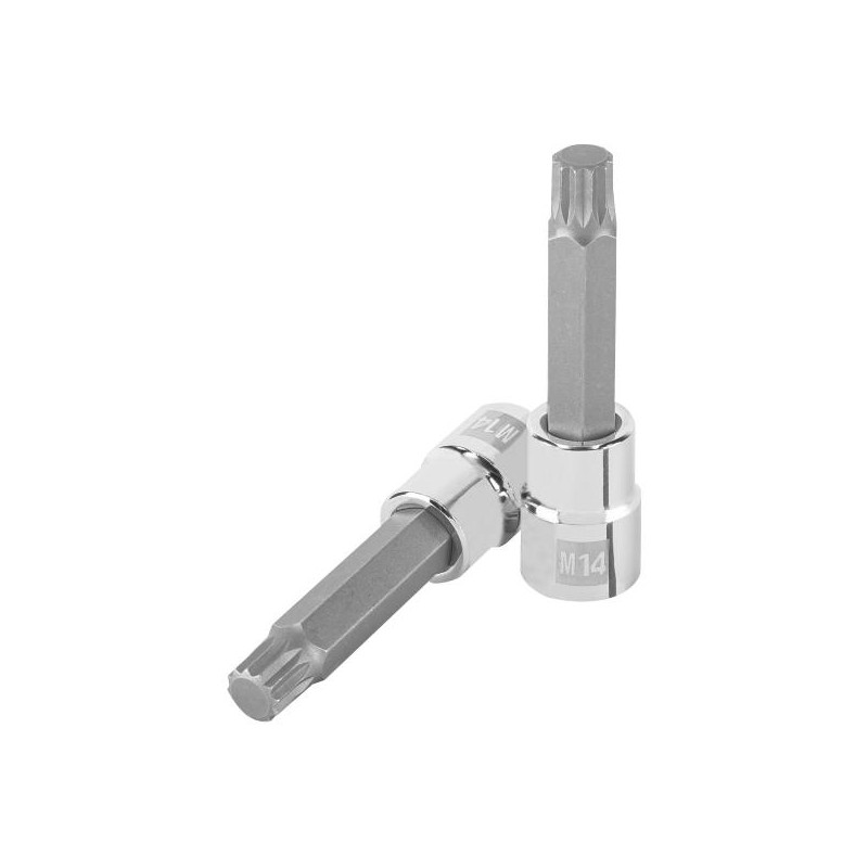 Dados Punta Bristol M14 E1/2 Plarga CrVanadio Truper 101303 13.559322 Dados Punta Bristol M14 E1/2 Plarga CrVanadio Truper 1013 Dados Punta Bristol M14 E1/2 Plarga CrVanadio Truper 101303 13.559322 Dados Punta Bristol M14 E1/2 Plarga CrVanadio Truper 1013